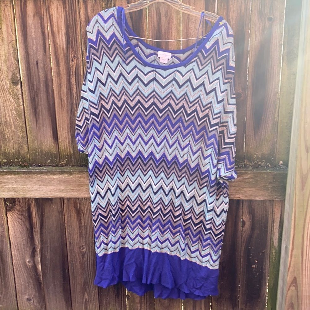 Jaclyn Smith shimmer tunic sz. 2X